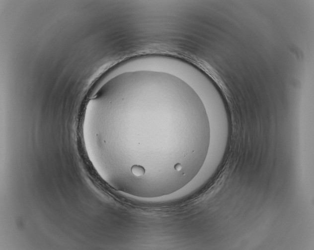 X0000111900530200909071138