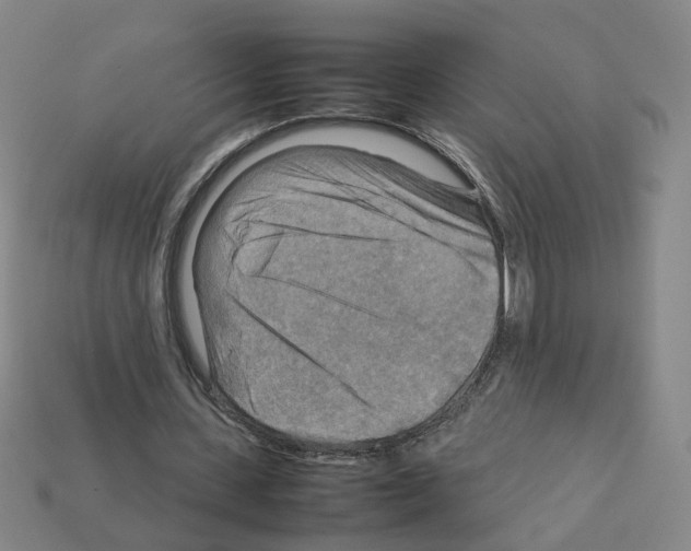 X0000111900531200909071138