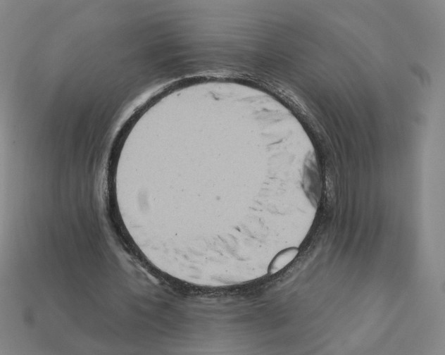 X0000111900532200909071138