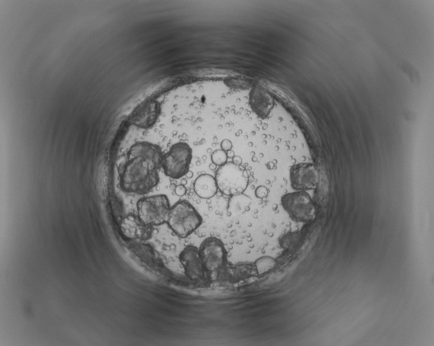 X0000111900533200909071138