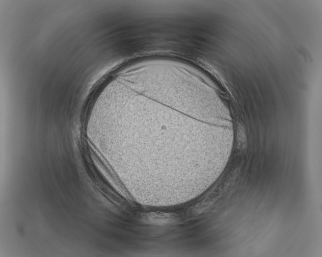 X0000111900535200909071138