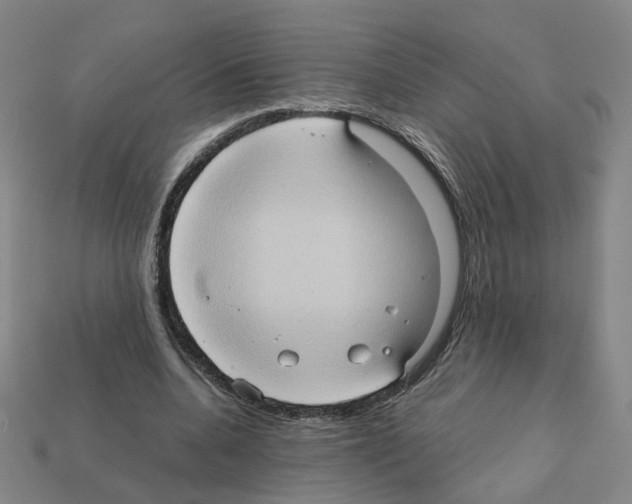 X0000111900536200909071138