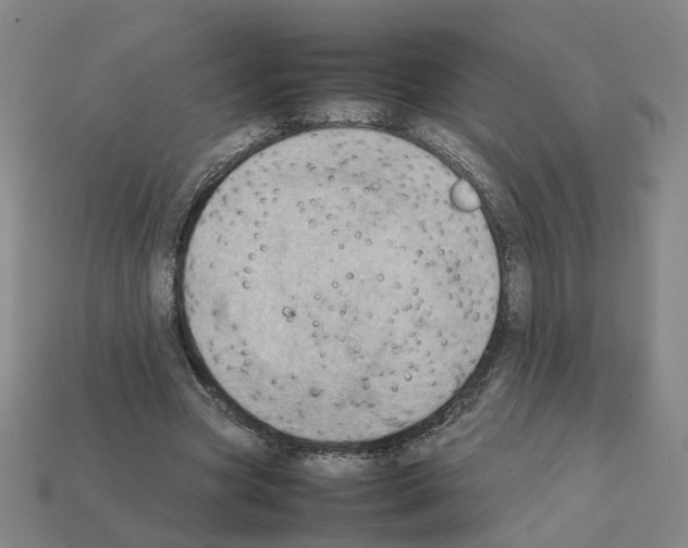 X0000111900537200909071138