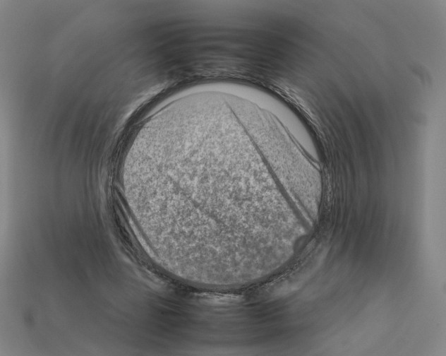 X0000111900539200909071138