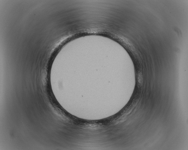 X0000111900540200909071138