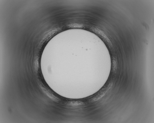 X0000111900541200909071138