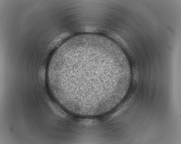 X0000111900542200909071138