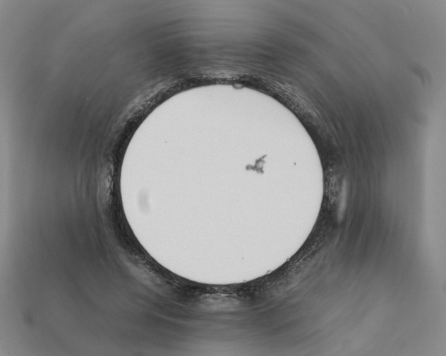 X0000111900544200909071138