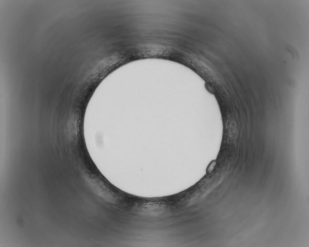 X0000111900546200909071138