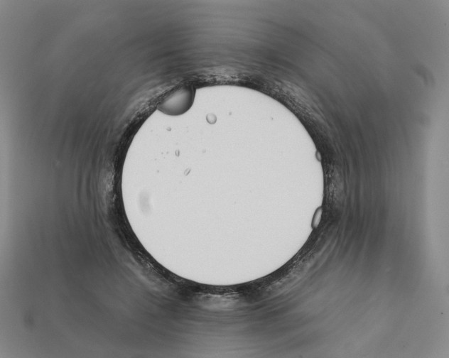 X0000111900548200909071138