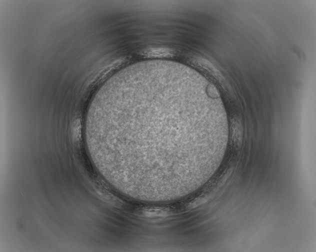 X0000111900549200909071138