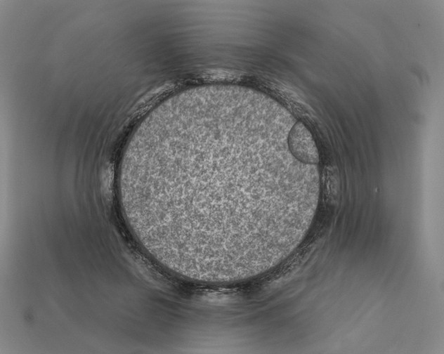 X0000111900550200909071138