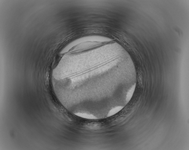 X0000111900551200909071138