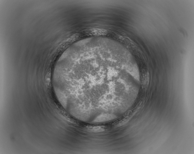 X0000111900553200909071138