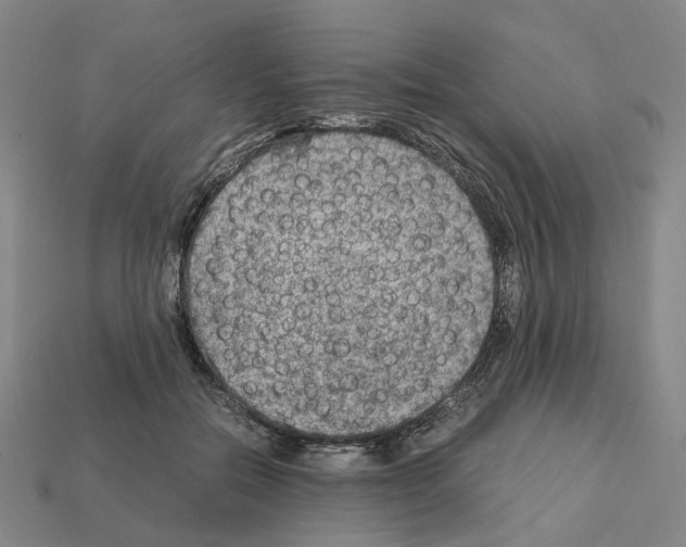 X0000111900554200909071138