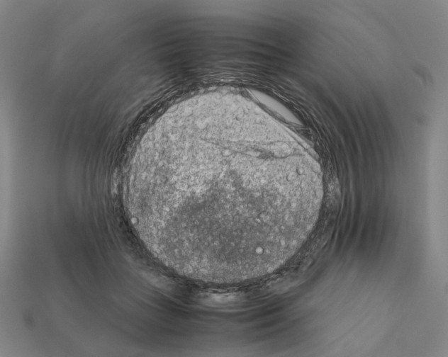 X0000111900555200909071138