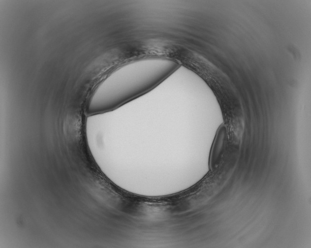 X0000111900556200909071138