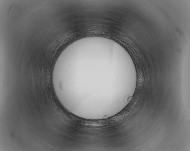 X0000111900559200909071138