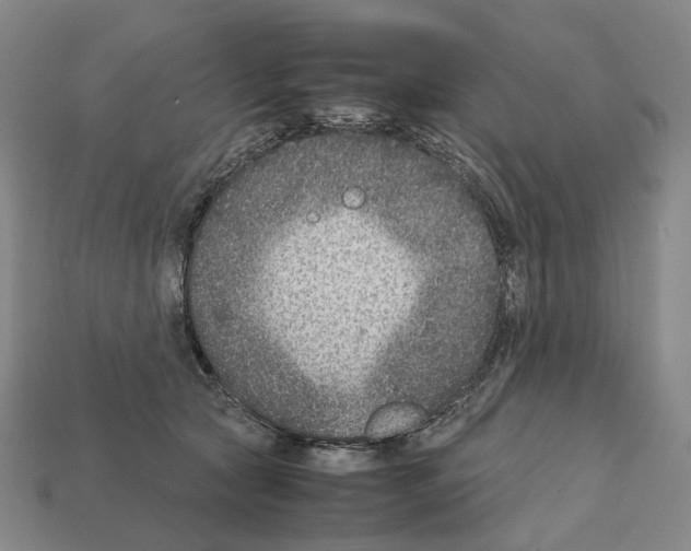 X0000111900561200909071138