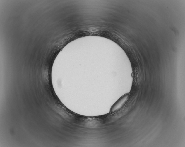 X0000111900562200909071138