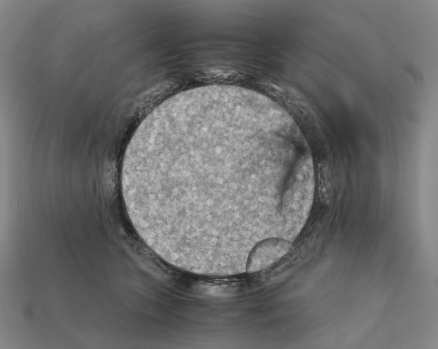 X0000111900563200909071138