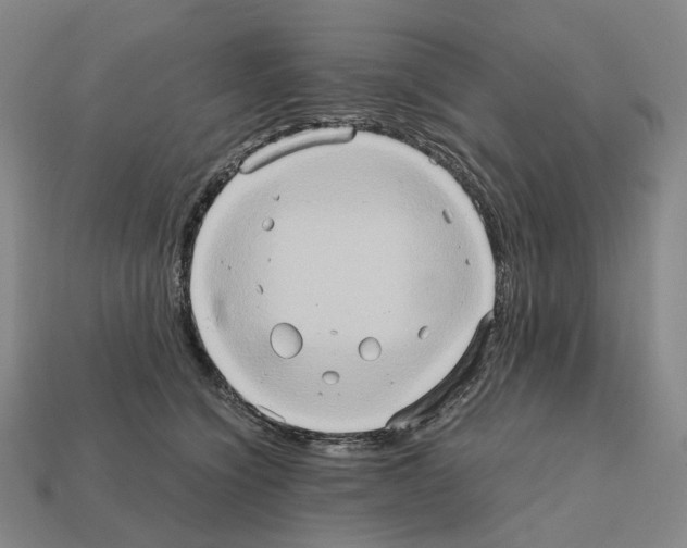 X0000111900564200909071138