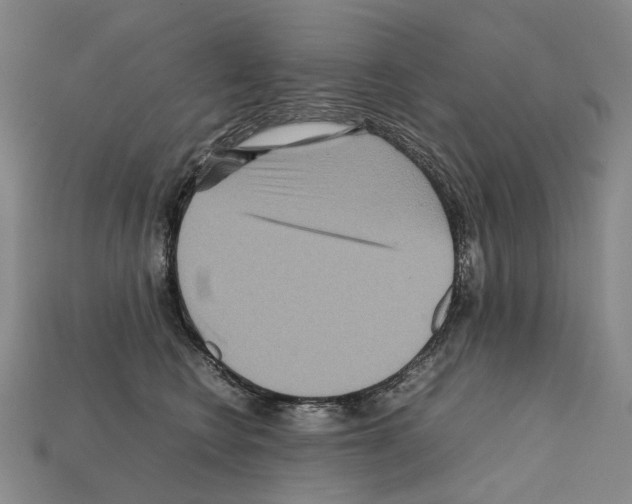 X0000111900566200909071138