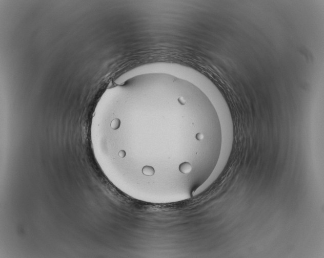 X0000111900568200909071138