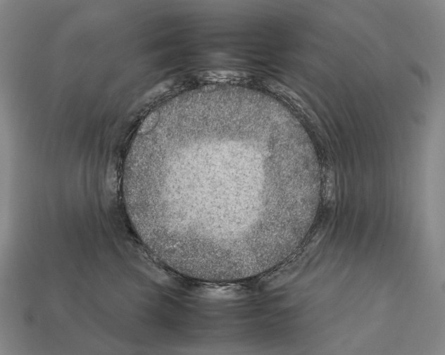 X0000111900569200909071138