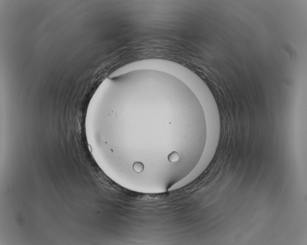 X0000111900570200909071138