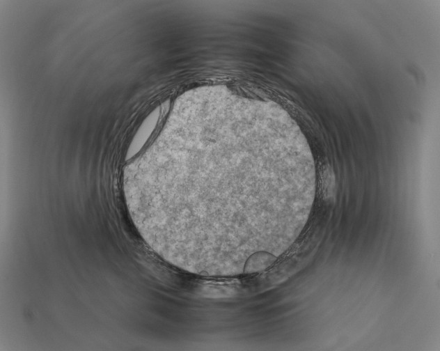 X0000111900571200909071138