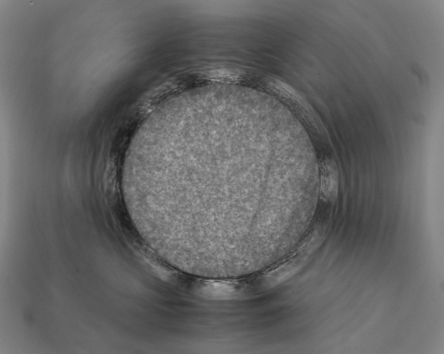 X0000111900573200909071138