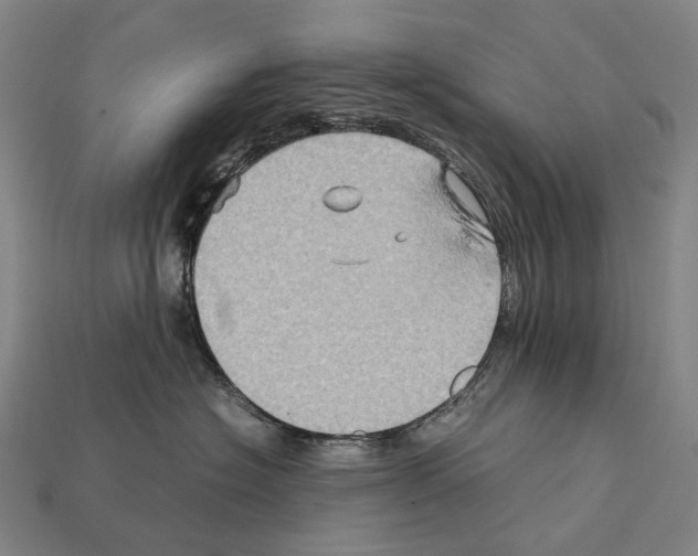 X0000111900574200909071138