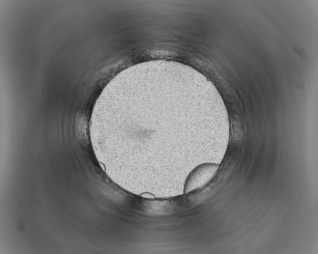 X0000111900575200909071138