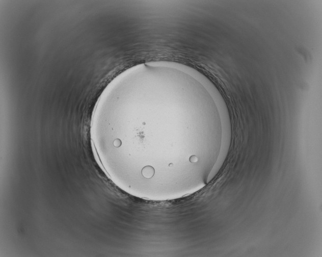 X0000111900576200909071138