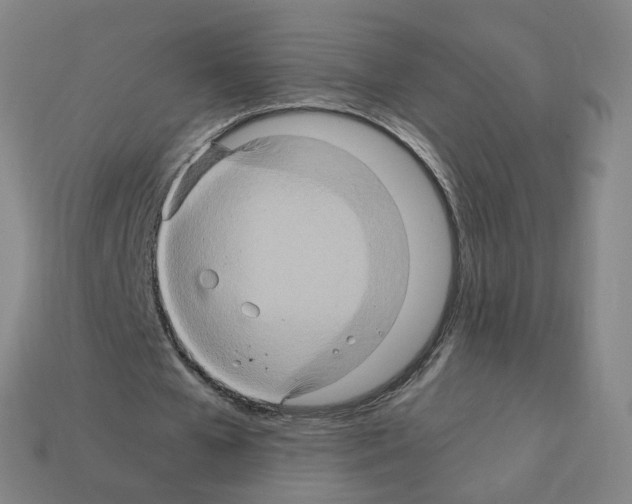 X0000111900577200909071138