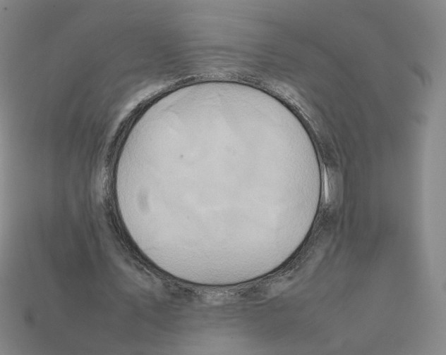 X0000111900579200909071138