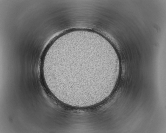 X0000111900580200909071138