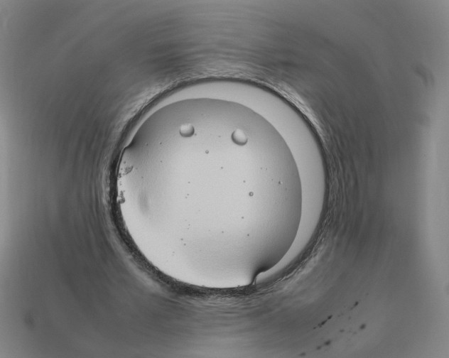 X0000111900581200909071138