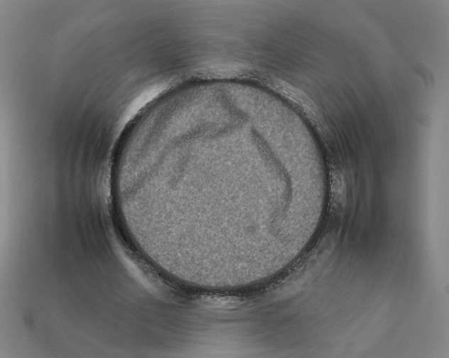 X0000111900582200909071137