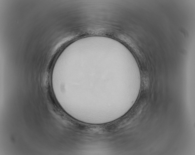 X0000111900583200909071137