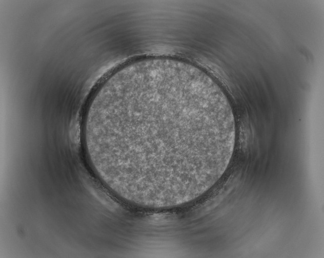 X0000111900584200909071137