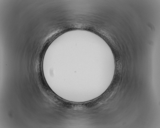 X0000111900587200909071137