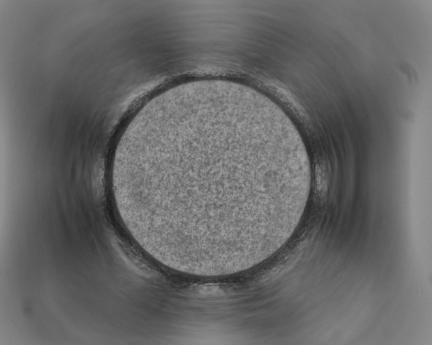 X0000111900588200909071137