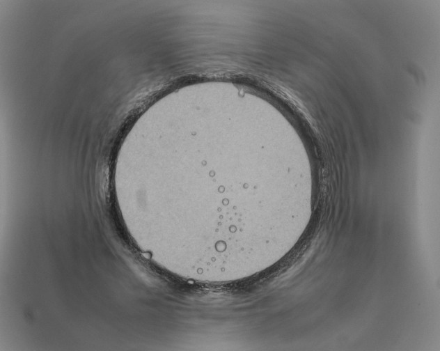 X0000111900589200909071137