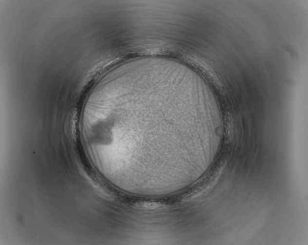 X0000111900590200909071137