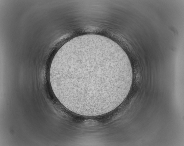 X0000111900591200909071137