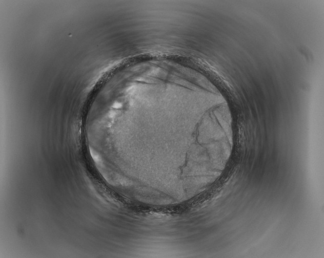 X0000111900592200909071137