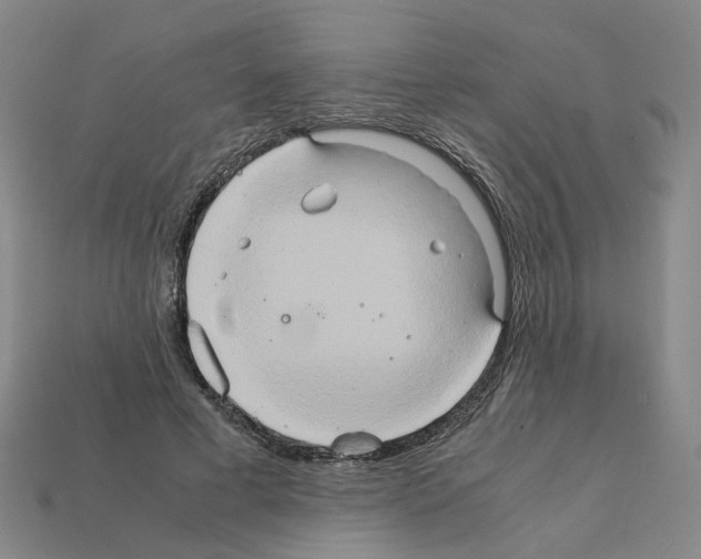 X0000111900593200909071137