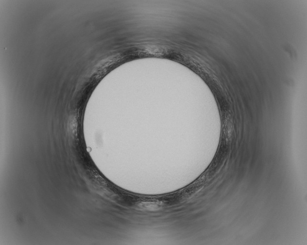 X0000111900595200909071137